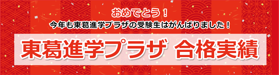 東葛進学プラザ 合格実績